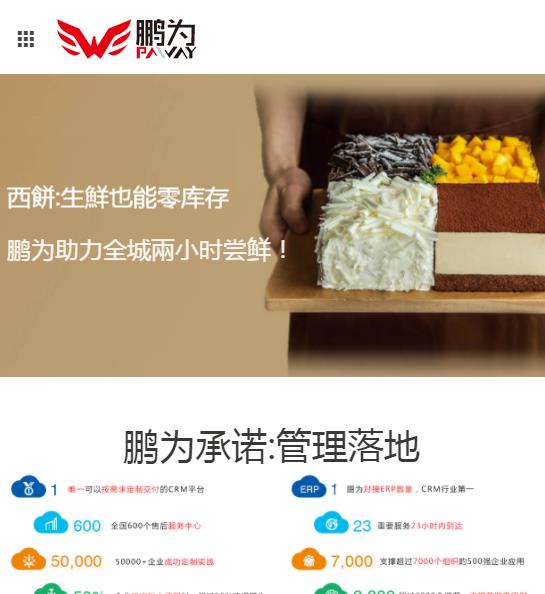 鹏为软件公司制作HTML5自适应网站建设