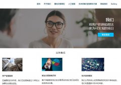 用wordpress系统可以建设公司网站么？